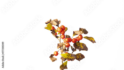 abstract, artistic, texture, pattern, colorful, modern art