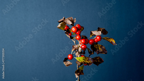 abstract, artistic, texture, pattern, colorful, modern art