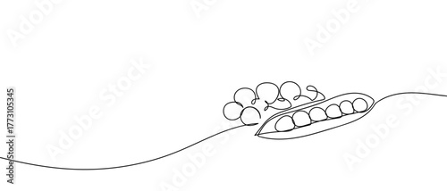 One continuous line of green peas outline isolated vector illustration Editable stroke.
