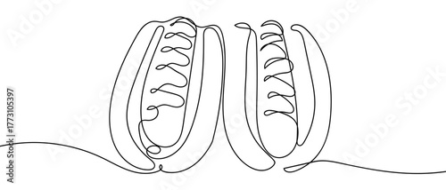 Two hot dogs, one continuous line outline isolated vector illustration Editable stroke.