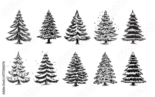 Christmas black trees set on white	
