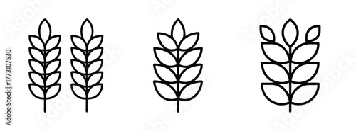 Wheat stalk vector drawing illustration of grain crop barley rye oat agriculture harvest design element