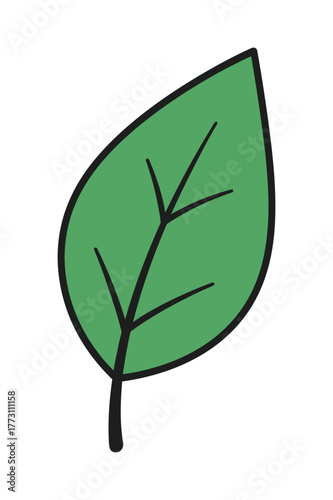 Green leaf illustration on white background