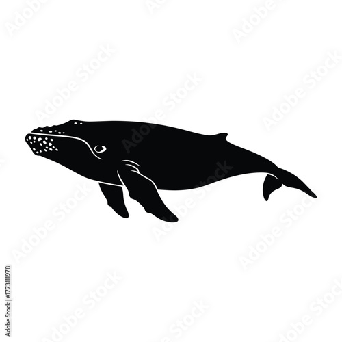 Right Whale Profile Silhouette Icon