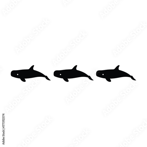 Whale Pod Silhouette Group Vector
