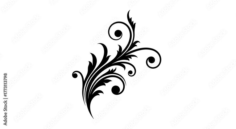 Fototapeta premium Elegant flourish design isolated on white background for decoration use