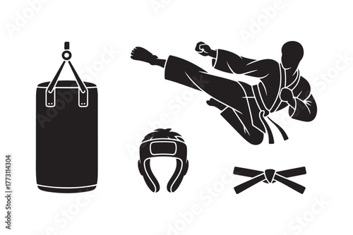 Martial arts training equipment and fighter silhouette