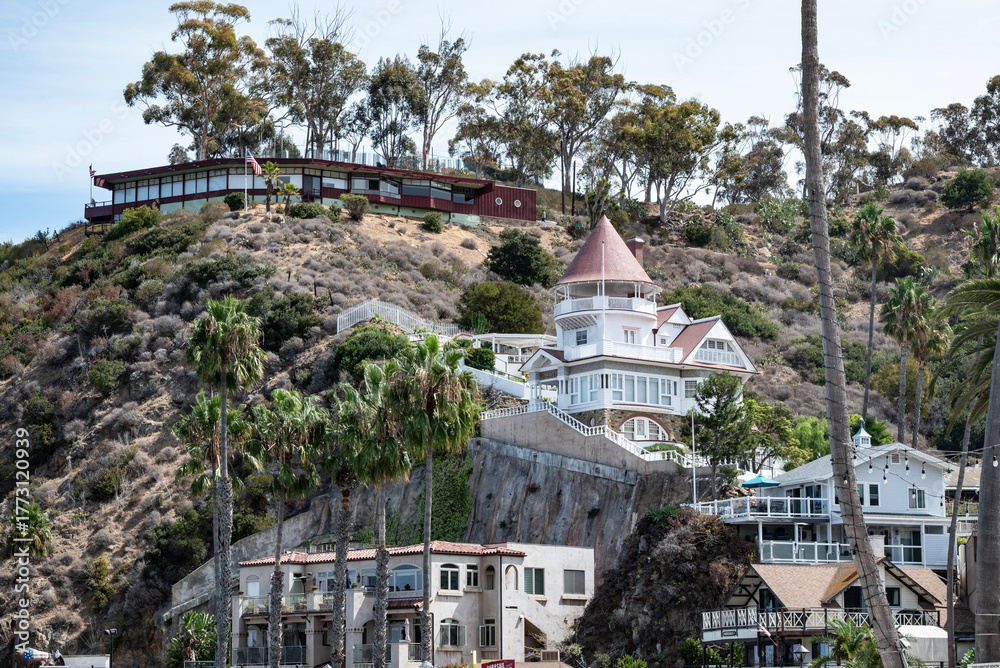 Obraz premium Catalina mansion