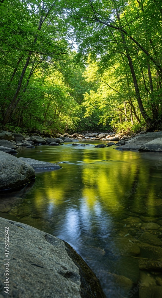 Obraz premium A tranquil river meanders through a vibrant, sun-dappled forest, reflecting verdant foliage and clear sky. Gentle water flows over smooth stones ,forest ,natural ,lush