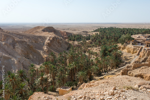 Scenic view of Chebika oasis, in Tunisia