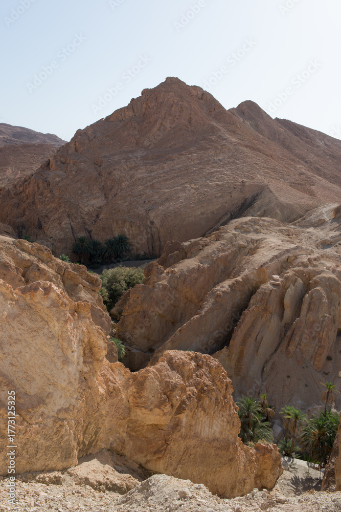 Obraz premium Beautiful eroded hills at Chebika canyon with palm trees. Tunisia