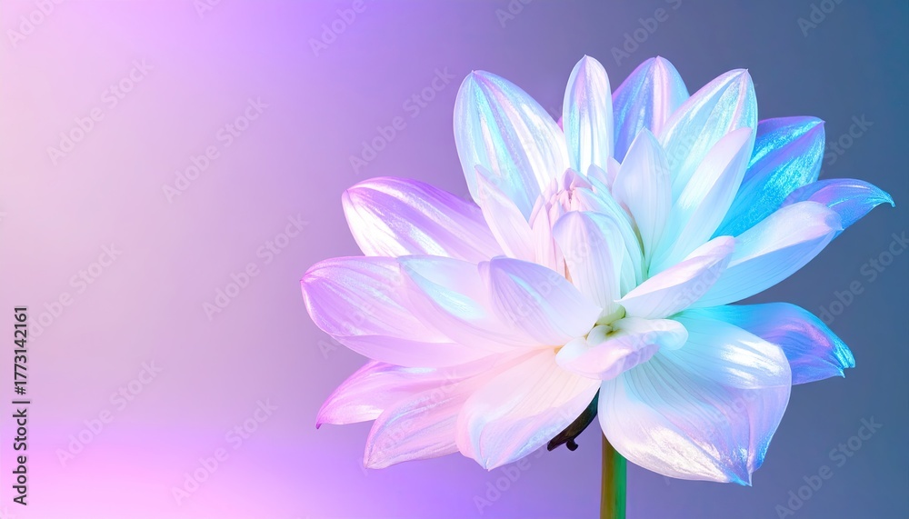 Fototapeta premium Holographic Iridescent Flower Petals Glowing on Dark Background