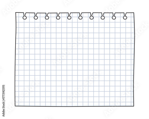 Squared graph paper notebook page template cartoon illustration isolated vector