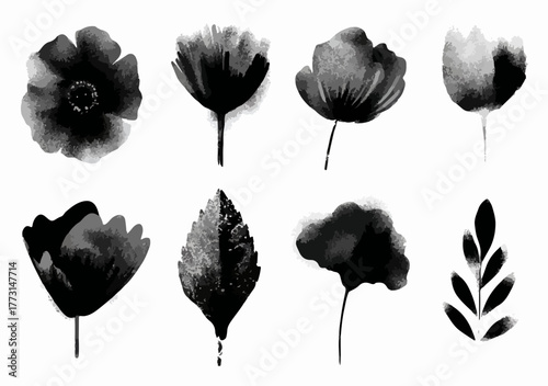 Delicadas ilustrações botânicas em aquarela preta e branca, exibindo diversas flores e folhas com um estilo artístico e orgânico.