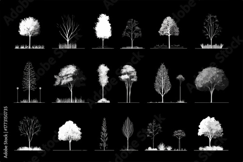 Conjunto de silhuetas de árvores em preto e branco para projetos de paisagismo e arquitetura