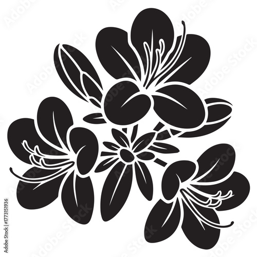 black and white flower vector