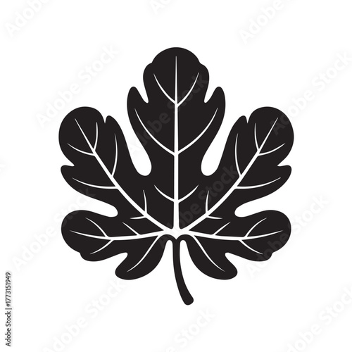 A detailed illustration presents a fig leaf, its intricate veins and distinctive shape rendered in stark black against an isolated on white background, highlighting its natural beauty