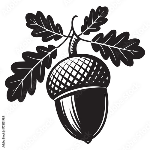 Detailed acorn illustration isolated on white background, featuring intricate details of the nut and leaves, ideal for naturethemed designs, autumn projects, and botanical illustrations