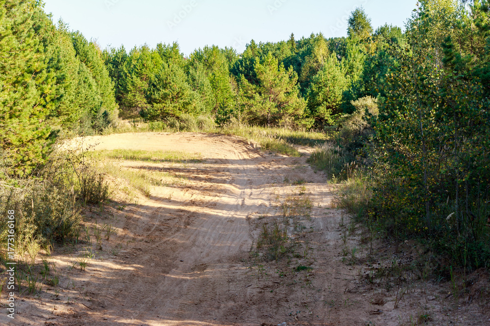 Fototapeta premium Amateur motocross track snaking through a sun-drenched sandy quarry. Tire marks crisscross the dusty terrain, flanked by a vibrant green forest. A rugged off-road trail