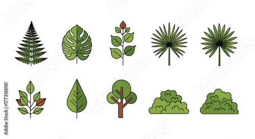 Different style plants leaves and trees illustration vector design