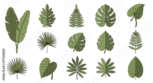 Tropical leaf collection vector illustration various style on white