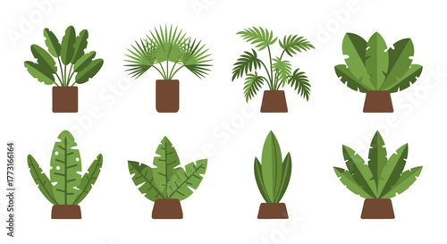 Assorted Tropical Houseplants in Pots Vector Set