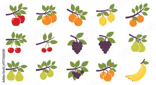 Cartoon Fruit Set. Apples Oranges Lemons Grapes Pears Cherries Bananas