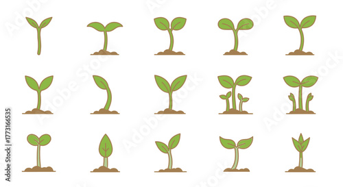 Sprout Stages Pictograms Green Plant Growing Seedling Garden Elements