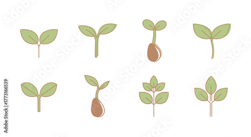 Delicate Illustration of Diverse Plant Sprouts Germination Stages