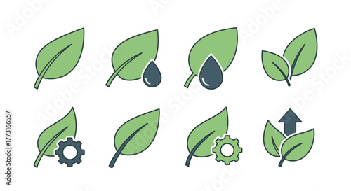 Eco Friendly Leaf Set for Nature and Sustainability Concept Icons