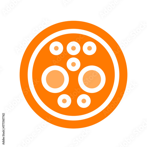 china port dc orange icon