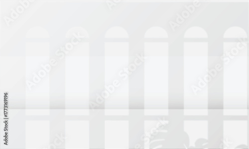 Abstract white studio background for product presentation. Empty room with shadows of window.