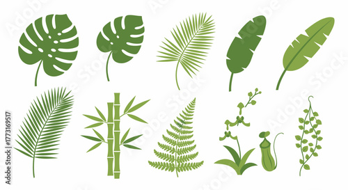 Tropical botanical vector collection with various plant illustrations in green