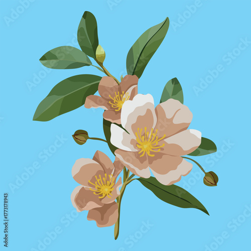 Camellia Flowers with Leaves Vector Design