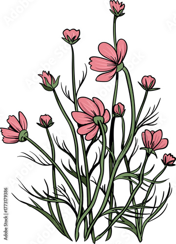 Cosmos Flowers Vector Design
