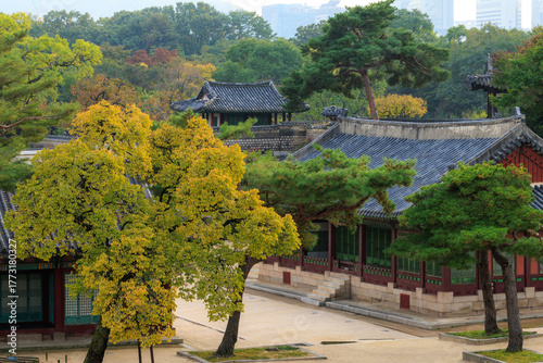 고궁 단풍