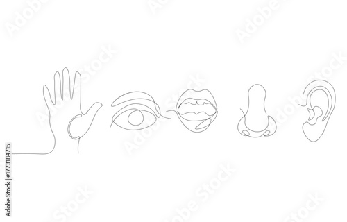 Five Human Senses One Line Art – Minimal Continuous Line Drawing of Eye, Ear, Nose, Mouth, and Hand Vector Illustration