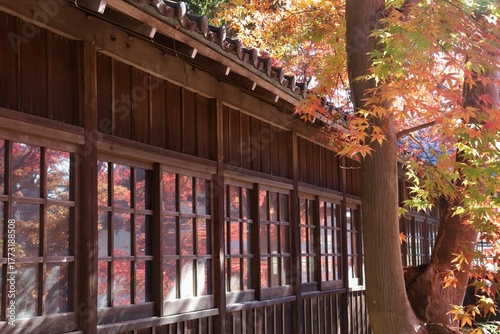 秋の本土寺（千葉県松戸市）。紅葉の境内。開山堂と本堂を結ぶ渡り廊下。