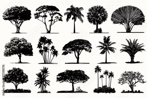 Ensemble de silhouettes d'arbres tropicaux et de palmiers pour des illustrations naturelles et exotiques.