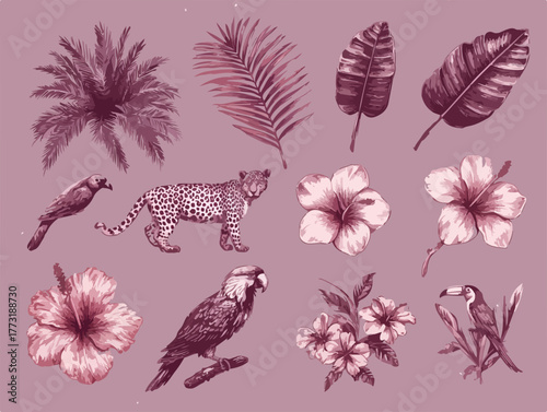 Collection d'illustrations tropicales vintage avec faune et flore exotiques dessinées à la main.