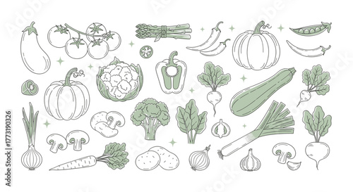 Collection of fresh vegetables and produce, handdrawn outline style with a light green accent