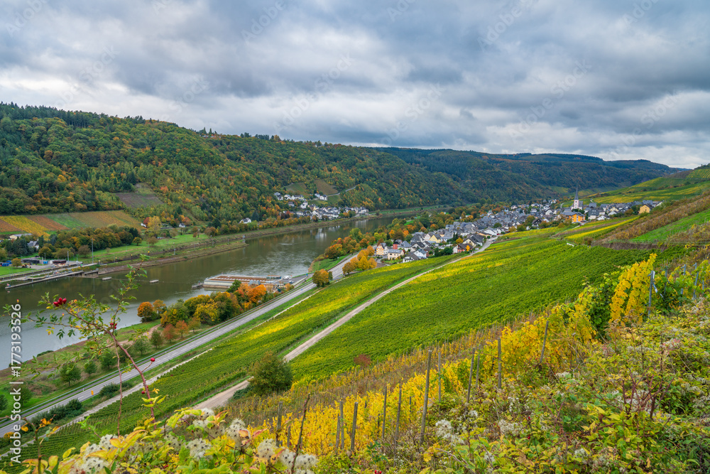 Obraz premium Scenic view of vineyards and Moselle river lock in Enkirch. Germany