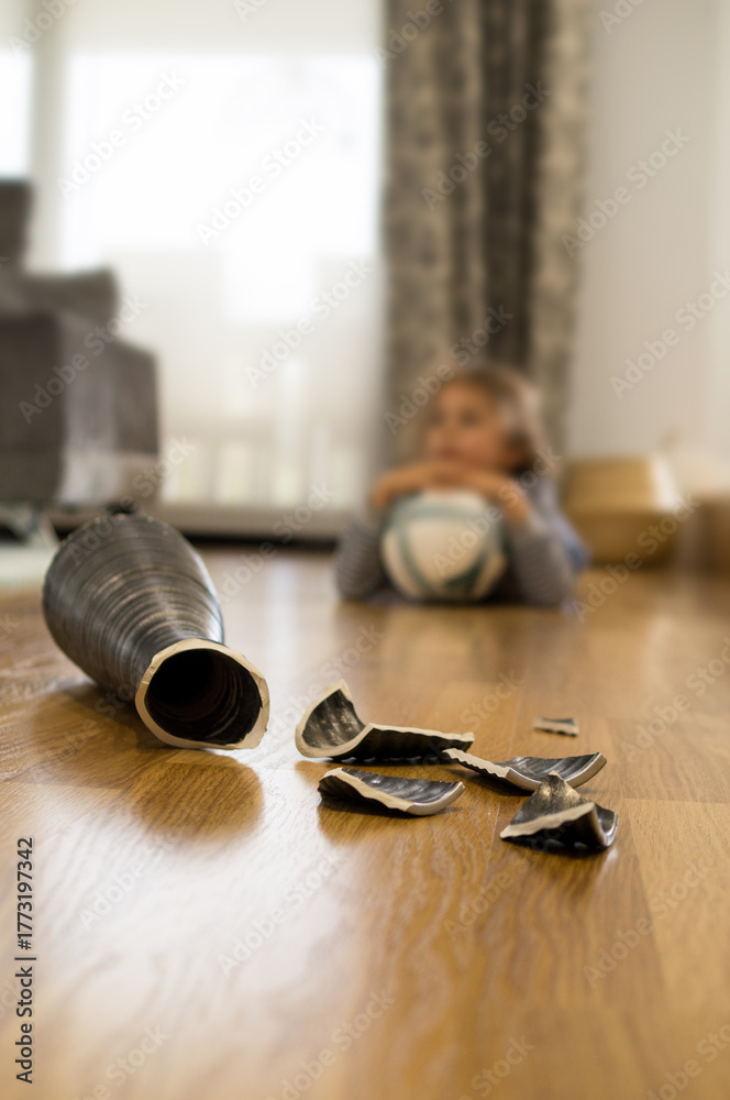 Εκτύπωση καμβά A child, out of focus, in the living room, staring at the vase he just broke with a ball