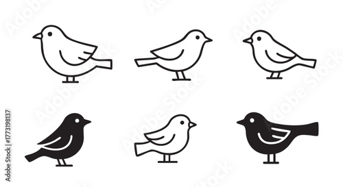 Elegant Bird Icon Collection Minimalist Design for Nature and Wildlife