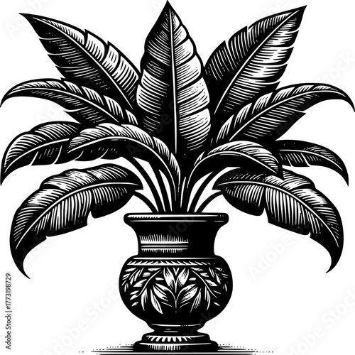 black and white palm tree in vase illustration