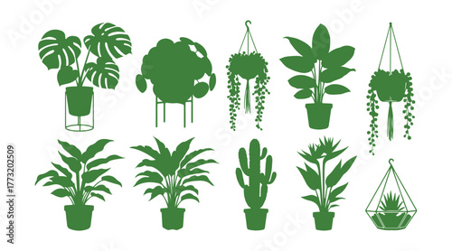 A variety of indoor ornamental potted plants such as monstera, pilea, calathea lancifolia, cactus, string of pearls, strelitzia, and a planthanger. Features both standing and hanging green terrariums.