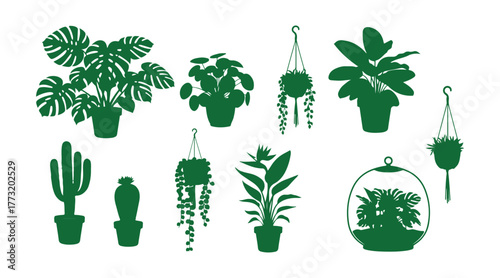 Collection of different indoor decorative potted plants like monstera, pilea, calathea lancifolia, cactus, string of pearls, strelitzia, and a planthanger. Includes both standing and hanging green ter
