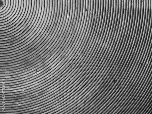 The monochrome background is part of a circular pattern.