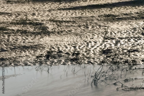 the river in the morning