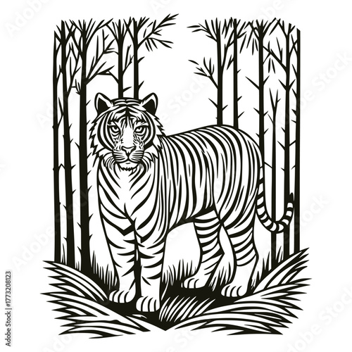 Majestic tiger standing alert in a forest clearing surrounded by bare trees and tall grass. Detailed vintage engraved illustration of this powerful wild cat for nature, conservation, and strength them